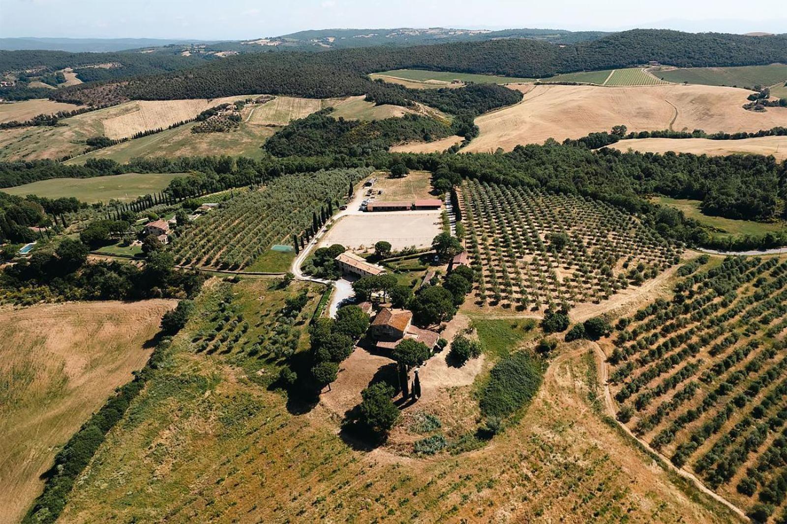 Agriturismo Sole Villa Trequanda Exterior foto